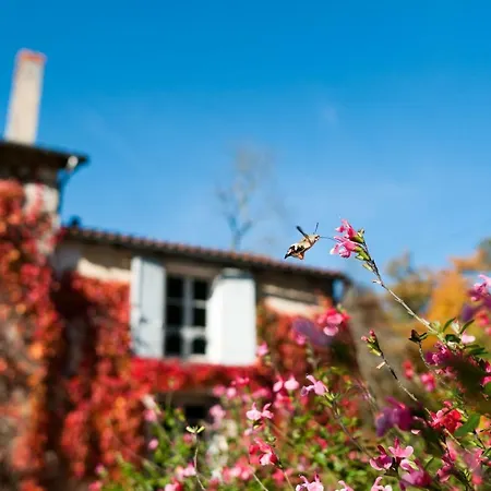 Jolie Petite Maison En Pierre